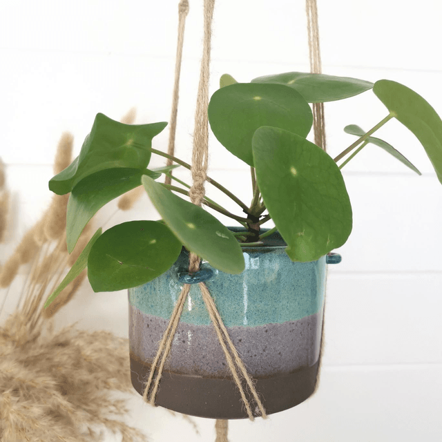 *Limited Edition - Macrame Hanging Planter 