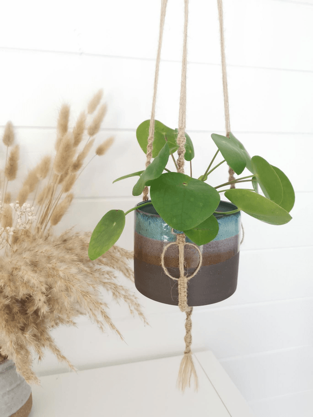 *Limited Edition - Macrame Hanging Planter 